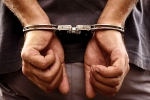 smuggling, Sandhu, 61 year old indian origin man jailed for 5 years for smuggling foreigners including indians into america, Dominican republic