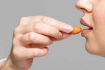 Almonds health breaking, Almonds health update, are almonds good for you, Health benefits Almonds health breaking, Almonds health update, are almonds good for you, Health benefits