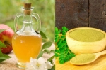 Apple Cider Vinegar Moringa, Apple Cider Vinegar Moringa, how to make apple cider vinegar moringa, Obesity