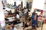 Dengue Outbreak, highest 2023 dengue cases, bangladesh dengue outbreak death toll crosses 1000, Kung