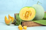 Muskmelon Seeds rich in, Muskmelon Seeds, health benefits of muskmelon seeds, Nutritional benefits
