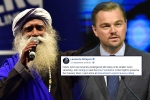 Leonardo DiCaprio support to cauvery calling, Leonardo DiCaprio support to cauvery calling, civil society groups ask dicaprio to withdraw support for cauvery calling, Nawazuddin siddiqui