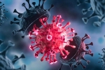 USA Coronavirus rise, USA Coronavirus rise, delta variant makes usa tensed again, Astrazeneca vaccine