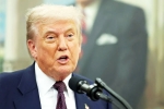 Donald Trump India Ambassador, Donald Trump, donald trump names close political aide as india ambassador, Sergio gor