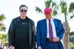 Donald Trump about Elon Musk, Donald Trump breaking updates, donald trump finally addresses rumors about elon musk, Democrats