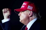 Donald Trump news, Donald Trump victory, donald trump s first promise keeps the stocks tumbling, Solar energy