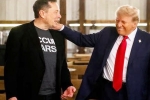 Donald Trump shares, Donald Trump promise, donald trump s praise for musk s starlink, Satellites