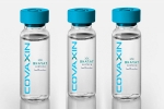 EUL for Covaxin news, Covaxin, who delays the eul decision on covaxin, Covishield