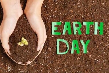 Everyday Habits to Practice Sustainability Beyond Earth Day