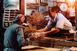 fast during ramadan, can we eat dates during fast, health benefits of eating dates during ramadan, Fattening