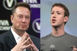 Mark Zuckerberg, Elon Musk Vs Mark Zuckerberg news, elon musk vs mark zuckerberg rivalry, Lol