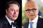 Elon Musk, Elon Musk Vs Satya Nadella warning, elon musk s warning to satya nadella after gpt 5 launch, Satya