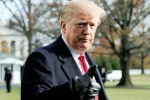 president, trump, former u s senators warn of constitutional crisis under trump, Porn star