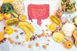 Gut Health experts, Good Gut Health news, how to maintain good gut health, Om raut