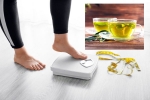 Green Tea for Weight loss tips, Green Tea, can consuming green tea really help in weight loss, Weight loss tips