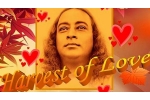 Maryland Upcoming Events, Maryland Events, harvest of love 2020, Grammy