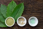 herbal supplements, Pain Treating Herbal Supplement, this pain treating herbal supplement is not safe for use, Disorders care