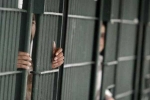 illegal crossing, Border, over 2 300 indians in u s jails for illegal crossing of border report, Punjabis