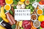 Immunity Tips science backed, Immunity Tips articles, interesting science backed tips to feel your best, Better sleep