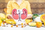 Kidneys Health experts, Kidneys Health important, how to keep your kidneys healthy, Stuffed