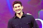 Sarkaru Vaari Paata movie, Sarkaru Vaari Paata, bollywood beauty for mahesh babu, Bharat ane nenu