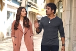 Manmadhudu 2 rating, Nagarjuna movie review, manmadhudu 2 movie review rating story cast and crew, Manmadhudu 2 Manmadhudu 2 rating, Nagarjuna movie review, manmadhudu 2 movie review rating story cast and crew, Manmadhudu 2