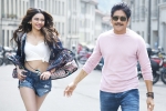 Manmadhudu 2 trailer, Rakul Preet Singh, manmadhudu 2 trailer is packed with entertainment, Manmadhudu 2 Manmadhudu 2 trailer, Rakul Preet Singh, manmadhudu 2 trailer is packed with entertainment, Manmadhudu 2