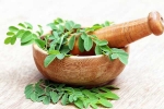 Moringa advantages, Moringa health experts, is moringa a must have in your diet, Pressure Moringa advantages, Moringa health experts, is moringa a must have in your diet, Pressure