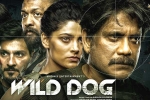 Wild Dog release news, Wild Dog latest updates, release date of nag s wild dog is out, Saiyami kher