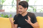 Naga Chaitanya Hindi flick, Sanjay Leela Bhansali, naga chaitanya in talks for one more bollywood film, Hindi movies Naga Chaitanya Hindi flick, Sanjay Leela Bhansali, naga chaitanya in talks for one more bollywood film, Hindi movies