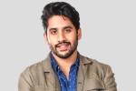 Love Story, Love Story, interesting title for naga chaitanya s next, Majili