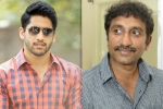 Srinu Vaitla, Naga Chaitanya new films, naga chaitanya to work with srinu vaitla, Mister