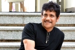 Nagarjuna news, Nagarjuna next film, nagarjuna s 100th film will be a multi starrer, Nagarjuna 100th film