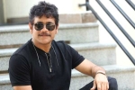 Nagarjuna Akhil movie, Nagarjuna 100th film, nagarjuna s 100th film locked, Nagarjuna 100th film
