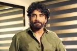 Nagarjuna Personal Rights, Nagarjuna Personal Rights, delhi high on nagarjuna s personal rights, Aishwarya rai bachchan Nagarjuna Personal Rights, Nagarjuna Personal Rights, delhi high on nagarjuna s personal rights, Aishwarya rai bachchan