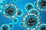 Omicron Tollywood updates, Coronavirus India, omicron fear for tollywood, Coronavirus india
