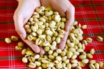 Pistachios protein, Pistachios latest, pistachios are a perfect protein snack, Vitamins