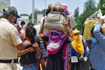 labourers, vikas khanna, plight of migrant workers baby shakes to wake up deceased mother, Ashok bhushan