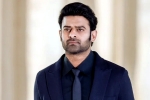 Prabhas, Prabhas Raja Deluxe, new updates of prabhas and maruthi film, Boman