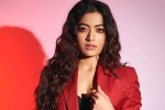 Rashmika and Manager latest, Rashmika and Manager latest, rashmika mandanna clears air, Animal film
