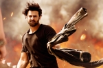 Saaho updates, Saaho news, saaho ten days telugu states collections, Neil nitin mukesh