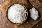 Sabudana news, Sabudana good for health, is sabudana good for health, Health benefits