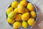 Soak Mangoes health experts, Soak Mangoes before eating, soak mangoes for 30 minutes before eating, Ai in india