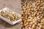 Sprouts vs Boiled Chana for weight control, Sprouts vs Boiled Chana weight loss, sprouts vs boiled chana for weight loss, Heart