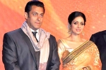 Sridevi latest updates, Sridevi new film, sridevi to work with salman khan, English vinglish