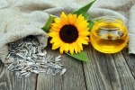 Sunflower seeds latest, Sunflower seeds breaking, sunflower seeds and their nutritional benefits, Nutritional benefits