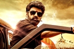 Veera Simha Reddy numbers, Veera Simha Reddy, veera simha reddy sankranthi weekend collections, Varalaxmi sarathkumar