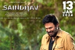 Saindhav release news, Saindhav breaking news, venkatesh s saindhav locks new release date, Nawazuddin siddiqui