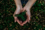 recycle, earth, what can you do to save earth, Landfill