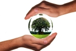 world environment day, you can save the earth book, world environment day here s how you can save the planet with these simple steps, World environment day